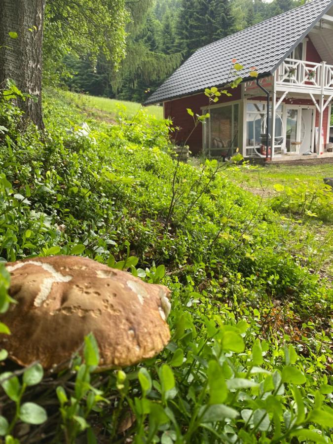 Forest House Targanice Exterior foto