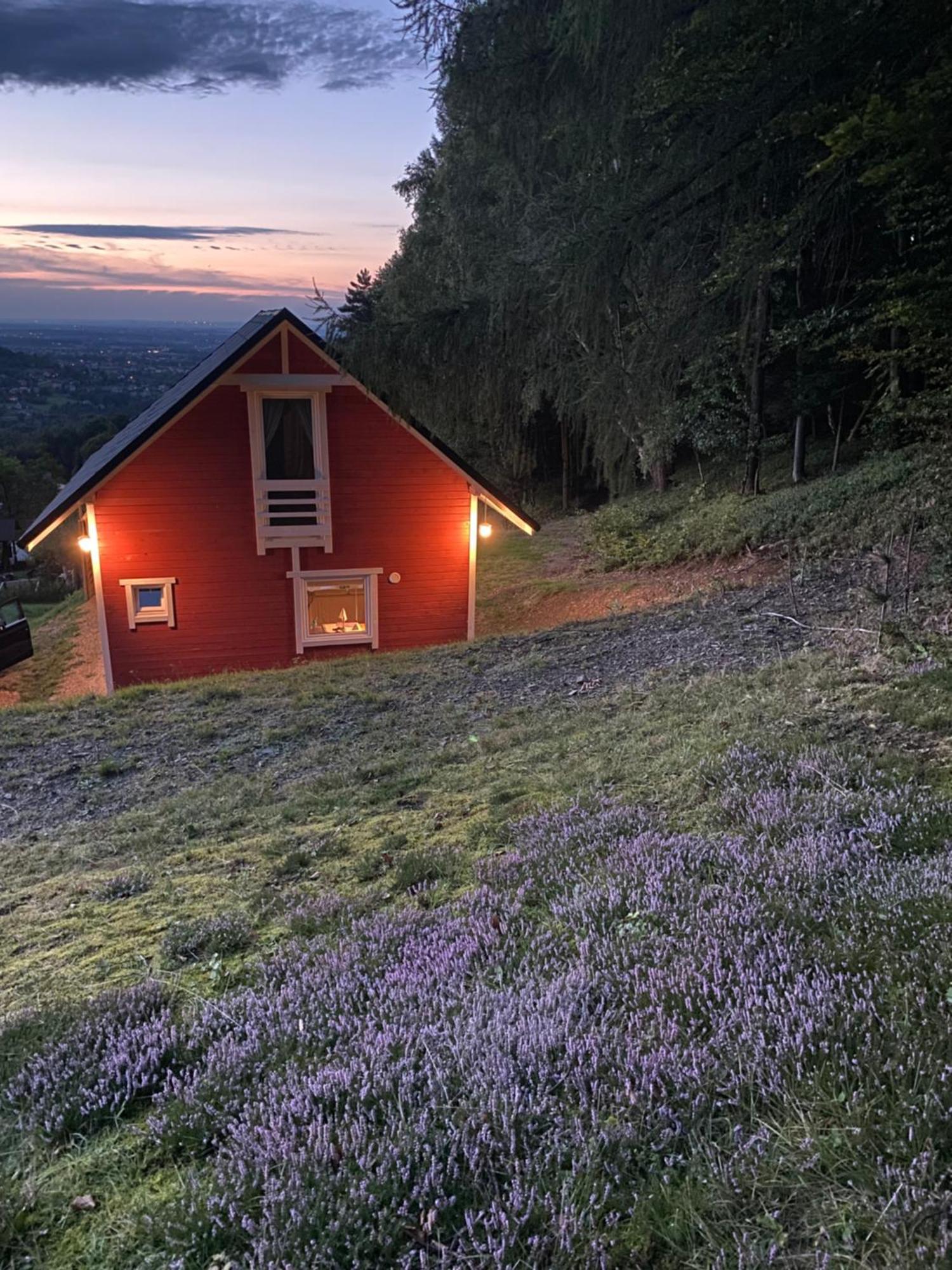 Forest House Targanice Exterior foto